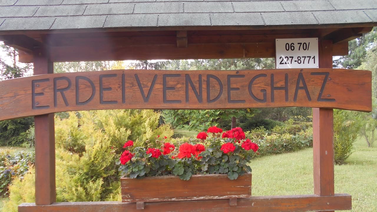 Az Erdei Vendégház fából ácsolt névtáblája muskátlis virágládával, mögötte örökzöldek.